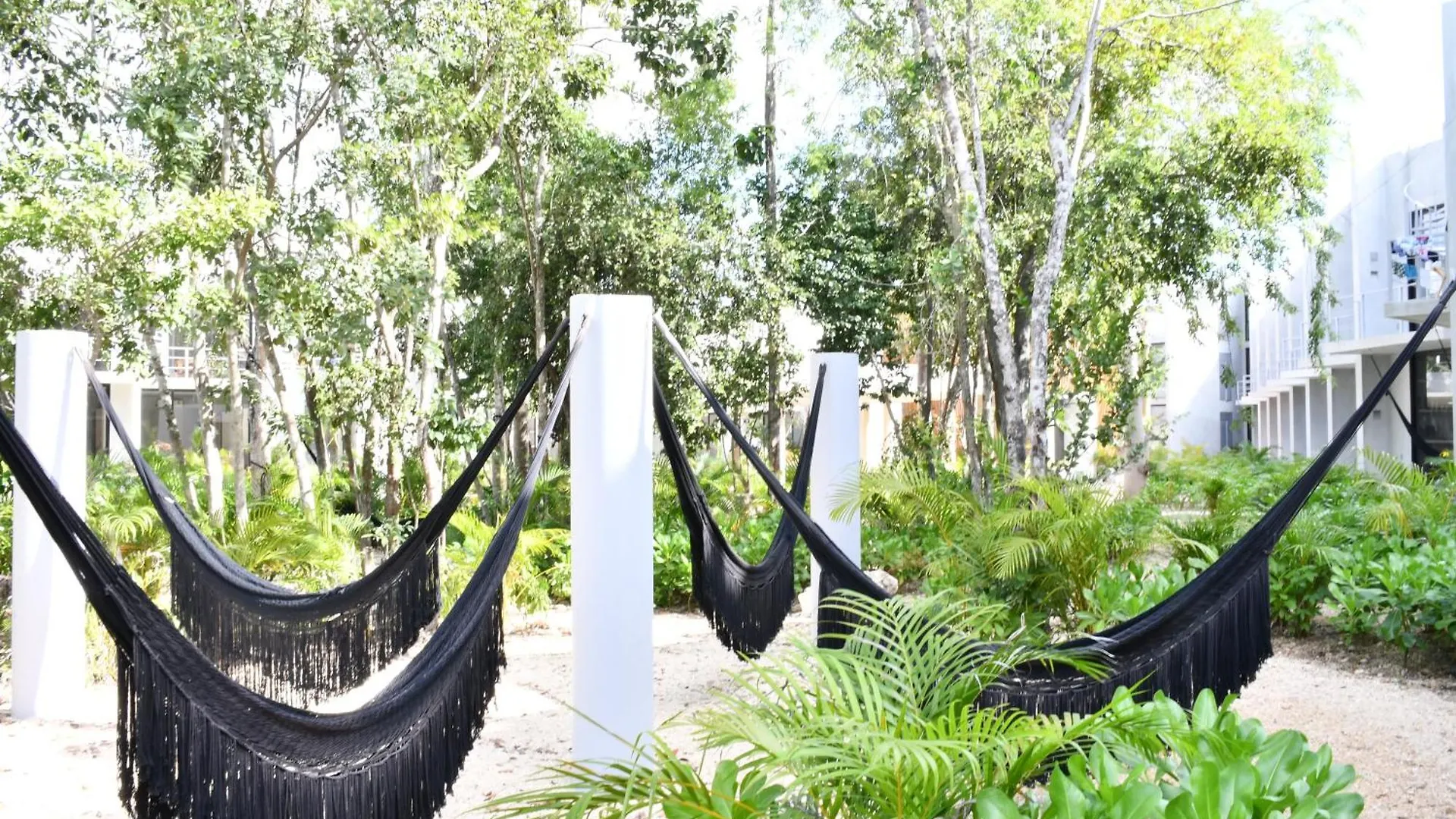 Seremonia Selva By The Spot Rentals Tulum Appartamento